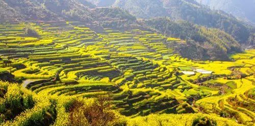 南京到齊云山自駕游_南京到齊云山自駕游_南京到齊云山自駕游