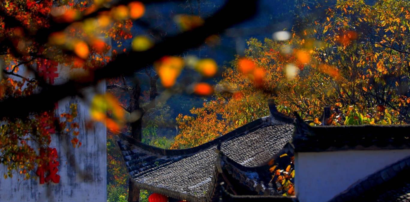 南京到齊云山自駕游_南京到齊云山自駕游_南京到齊云山自駕游