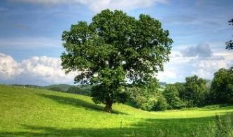 重慶自駕游九寨溝(重慶自駕游九寨溝費用)