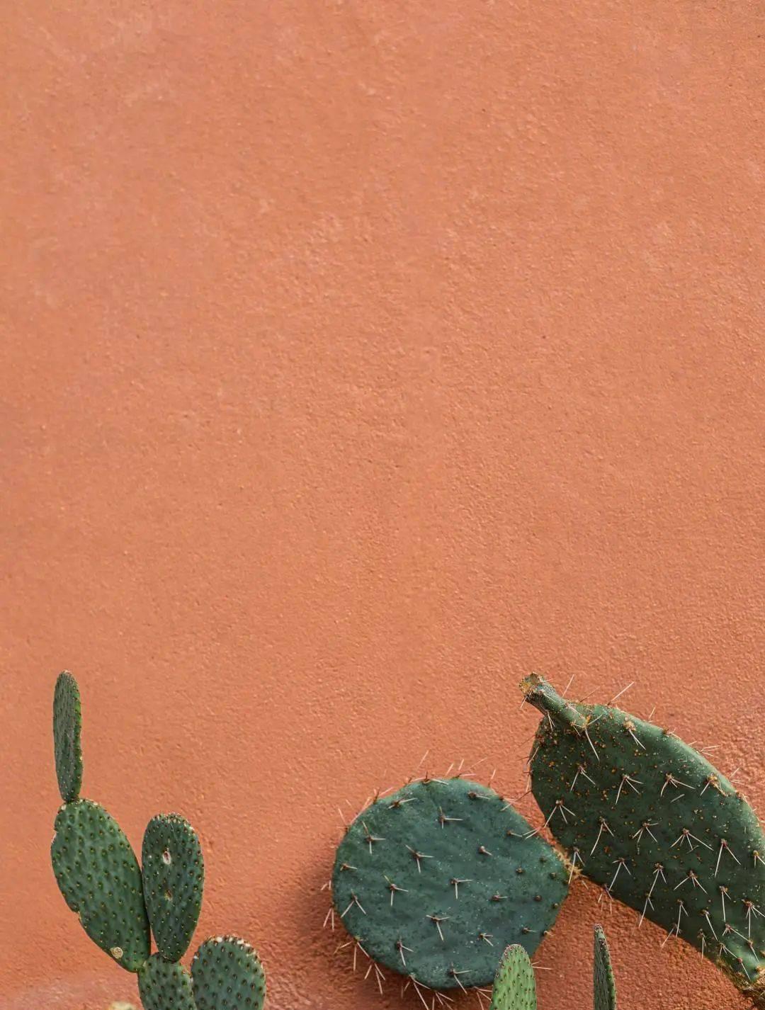 旅游帶些什么必備用品_旅游帶什么吃的最實用_旅游帶啥