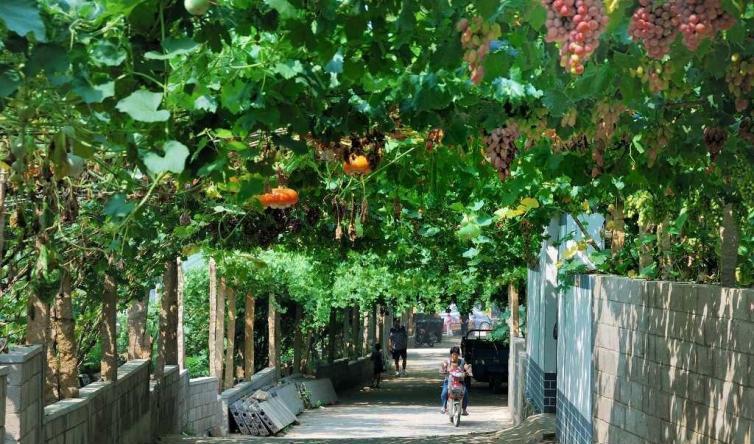 自駕秦皇島游到哪里好玩_自駕秦皇島游到北京路線_秦皇島到自駕游