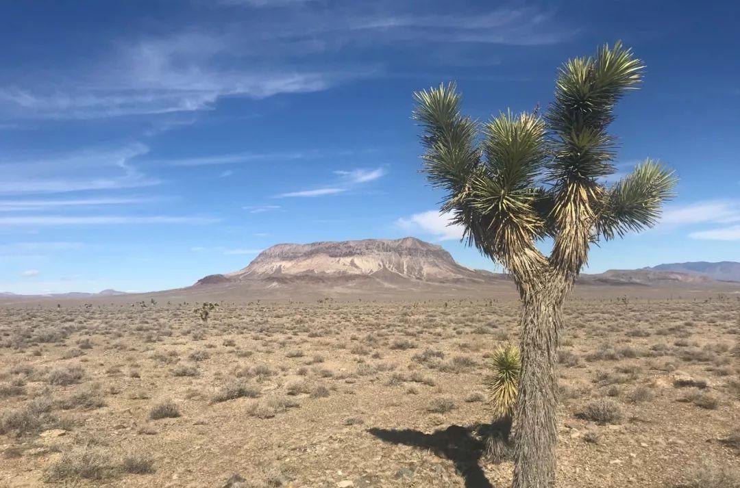 德州出發(fā)自駕游去哪里好玩_德州自駕游攻略_德州市自駕游
