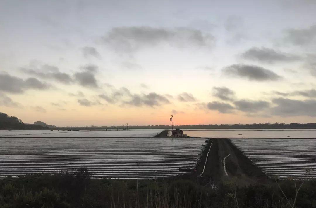 德州自駕游攻略_德州出發(fā)自駕游去哪里好玩_德州市自駕游