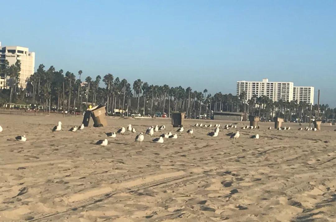 德州自駕游攻略_德州市自駕游_德州出發(fā)自駕游去哪里好玩