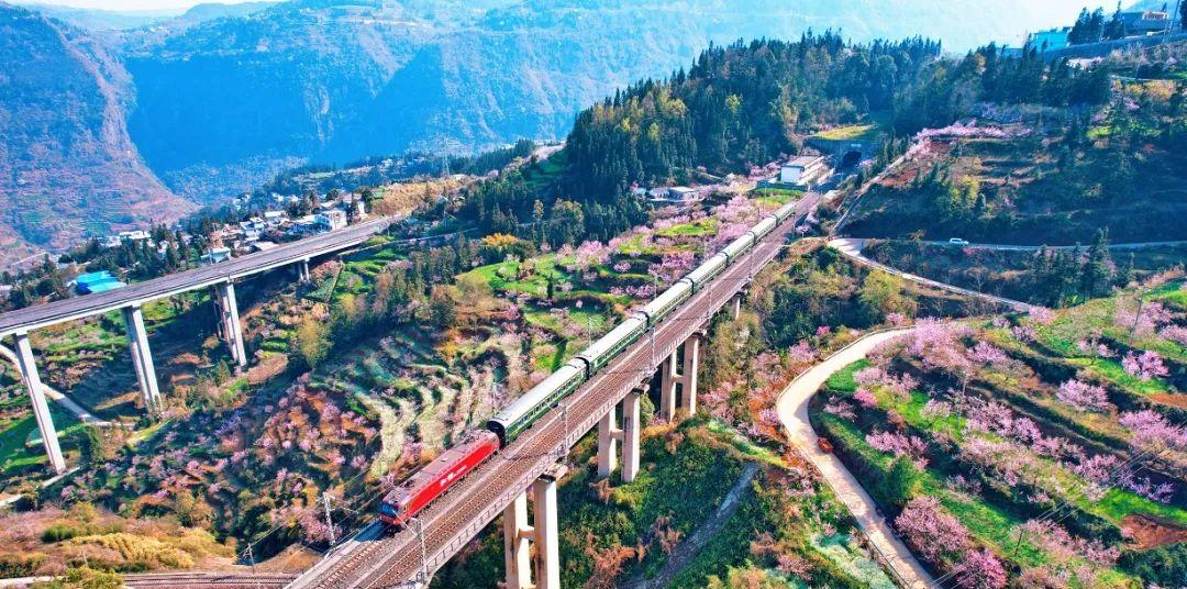 沈陽到廣州的火車票多少錢一張_沈陽到廣州火車票時刻表查詢_廣州到沈陽的火車票