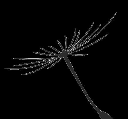 屏邊火車站_火車站屏幕_火車站屏幕上的站臺是什么意思