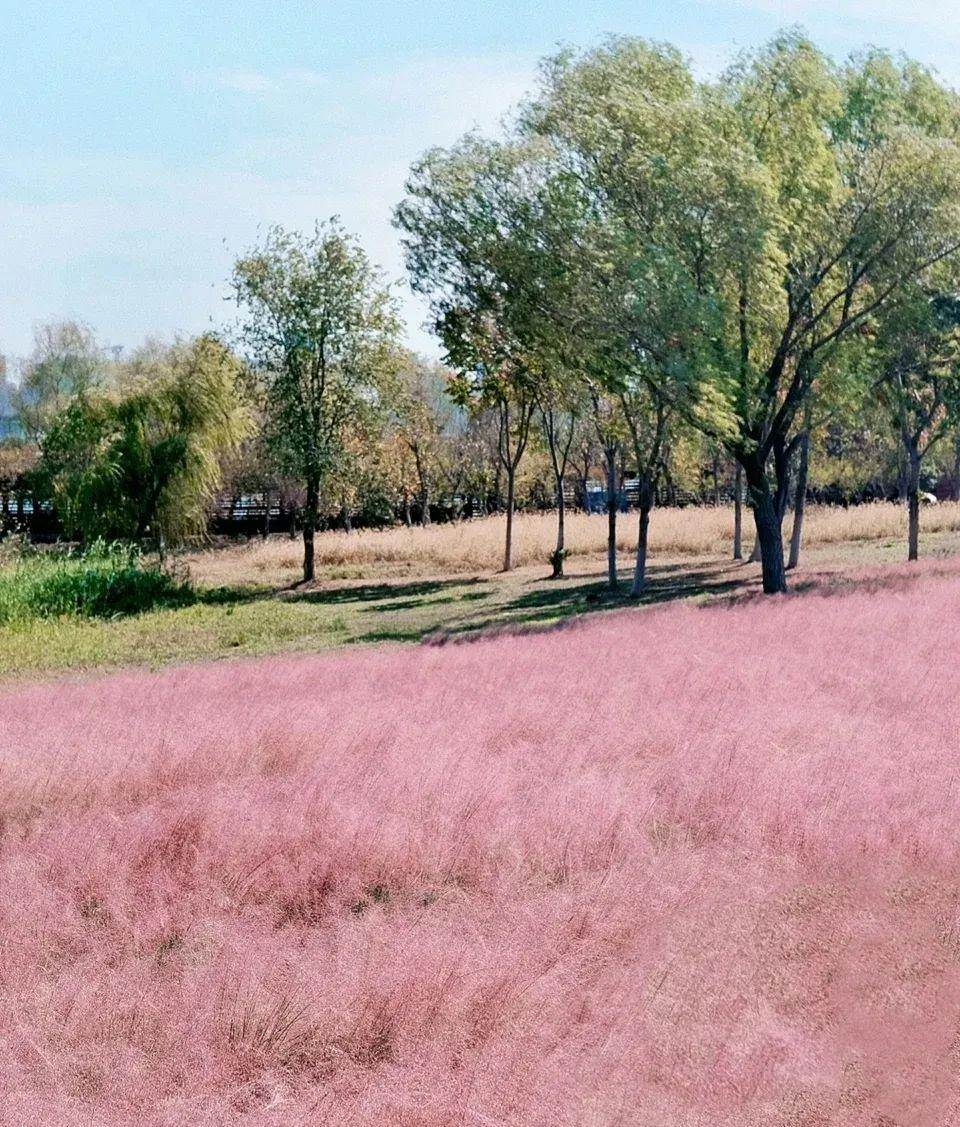 合肥火車站美食街_合肥火車站附近美食杰_合肥火車站小吃一條街