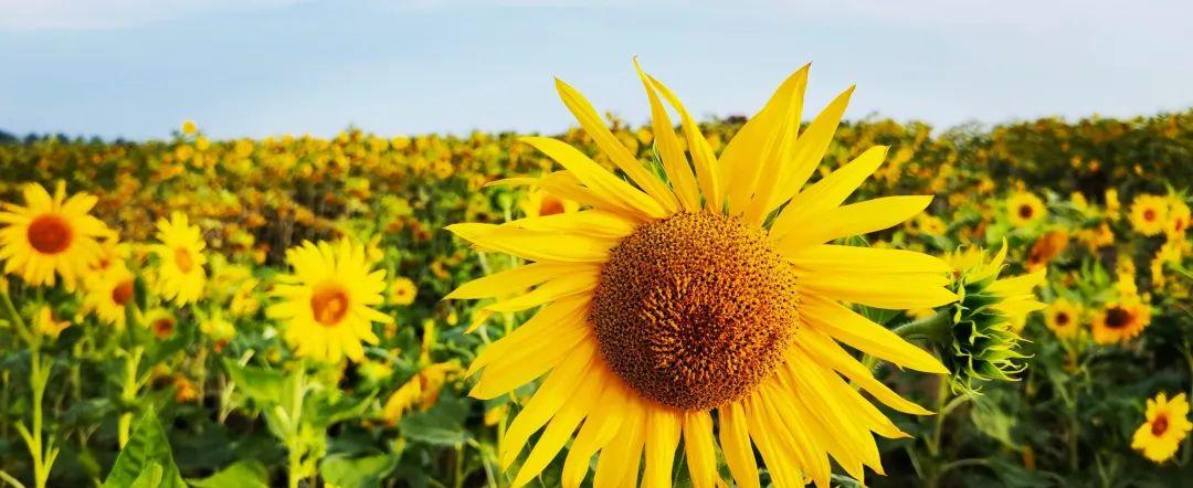 合肥火車站小吃一條街_合肥火車站附近美食杰_合肥火車站美食街