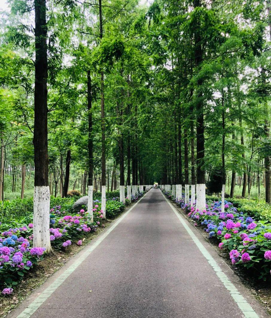 合肥火車站附近美食杰_合肥火車站小吃一條街_合肥火車站美食街