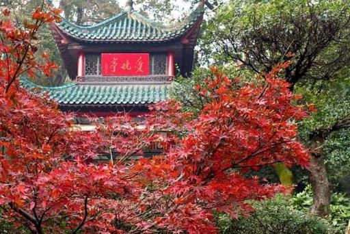 長沙著名旅游景點_長沙著名旅游景點有哪些_長沙著名的旅游景點