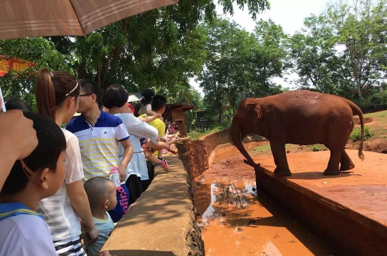旅游家庭互換住宿_家庭旅游_旅游家庭團(tuán)