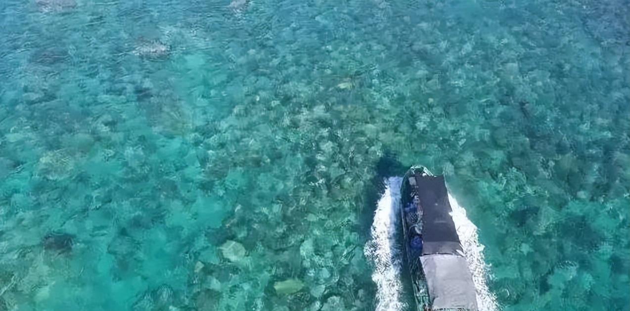 旅游馬爾代夫要多少錢_馬爾代夫旅游需要花多少錢_去馬爾代夫玩多少錢