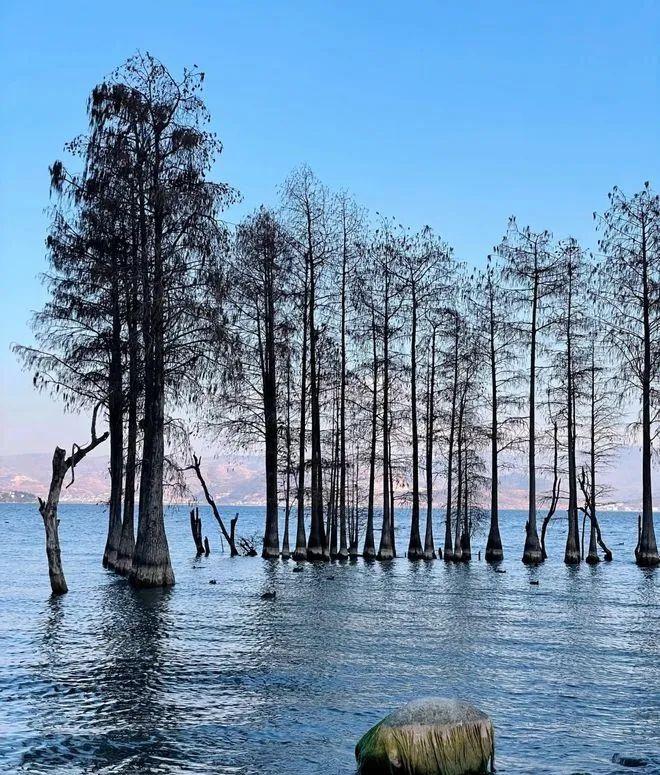云南旅行天氣_云南旅游攻略天氣_云南旅游要幾天