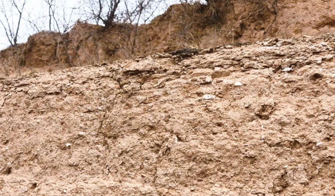 火車站臨潼有地鐵嗎_臨潼有火車站嗎_臨潼火車站