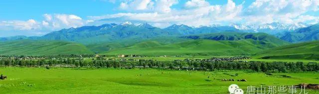 唐山離臺州有多遠_唐山自駕臺山游到哪里好玩_唐山到五臺山自駕游