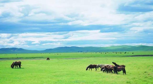 唐山到五臺山自駕游_唐山離臺州有多遠_唐山自駕臺山游到哪里好玩