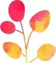 唐山離臺州有多遠_唐山自駕臺山游到哪里好玩_唐山到五臺山自駕游