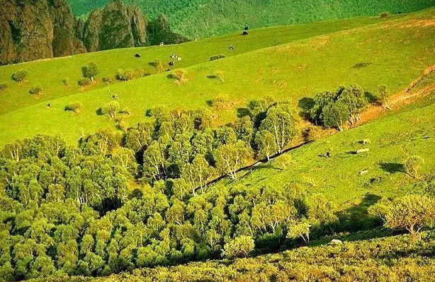 唐山到五臺山自駕游_唐山離臺州有多遠_唐山自駕臺山游到哪里好玩
