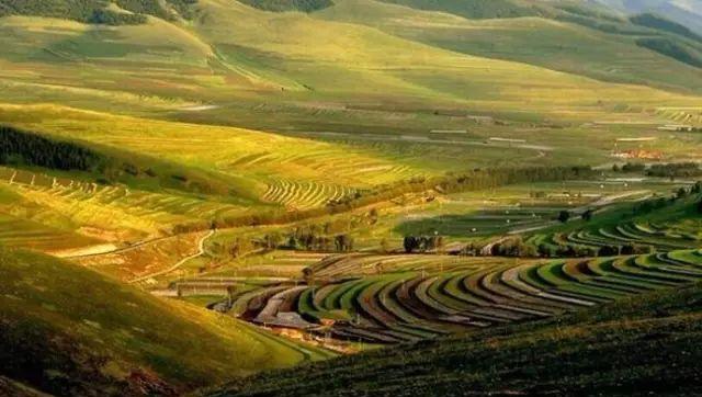 唐山到五臺山自駕游_唐山離臺州有多遠_唐山自駕臺山游到哪里好玩