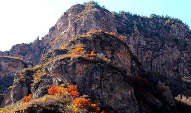 唐山到五臺山自駕游_唐山離臺州有多遠_唐山自駕臺山游到哪里好玩