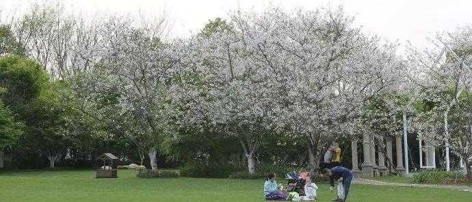 南昌自駕群_南昌自駕游俱樂部_南昌駕車一日游