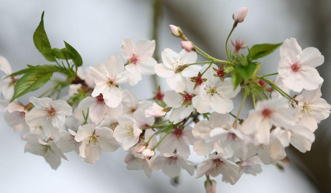 南昌駕車一日游_南昌自駕游俱樂部_南昌自駕群