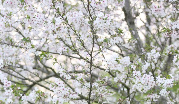 南昌駕車一日游_南昌自駕群_南昌自駕游俱樂部