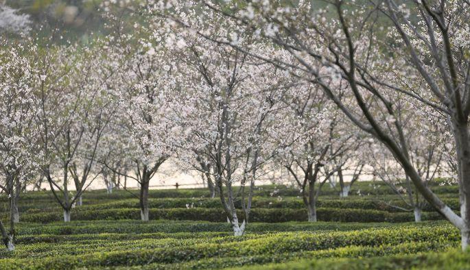 南昌自駕群_南昌駕車一日游_南昌自駕游俱樂部