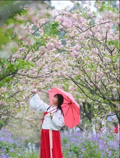 南昌自駕群_南昌自駕游俱樂部_南昌駕車一日游