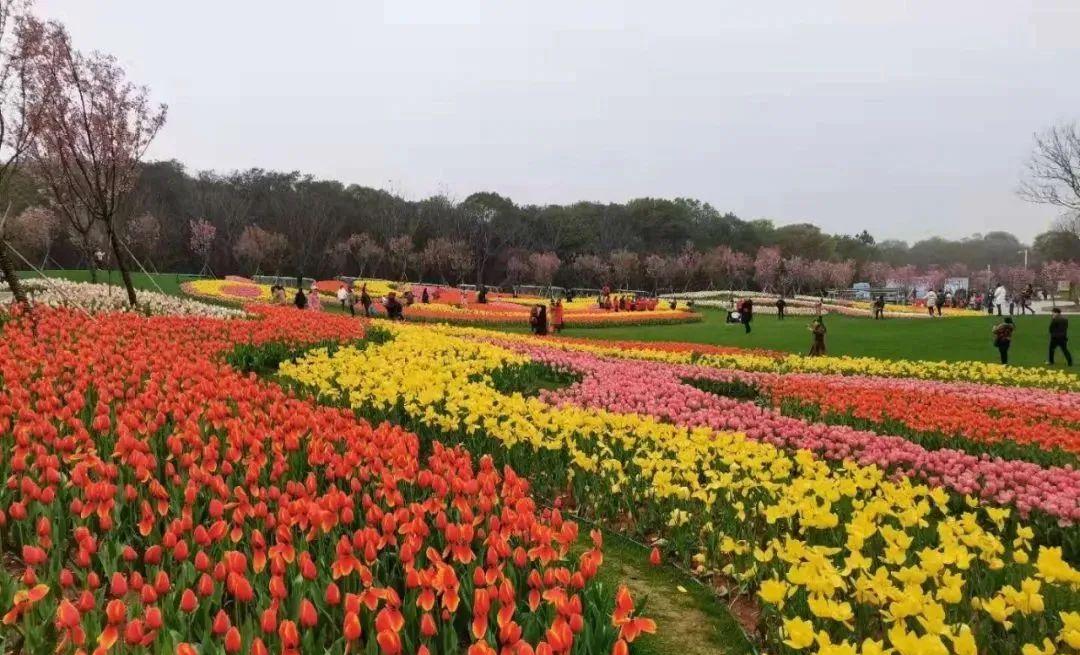 南昌駕車一日游_南昌自駕群_南昌自駕游俱樂部