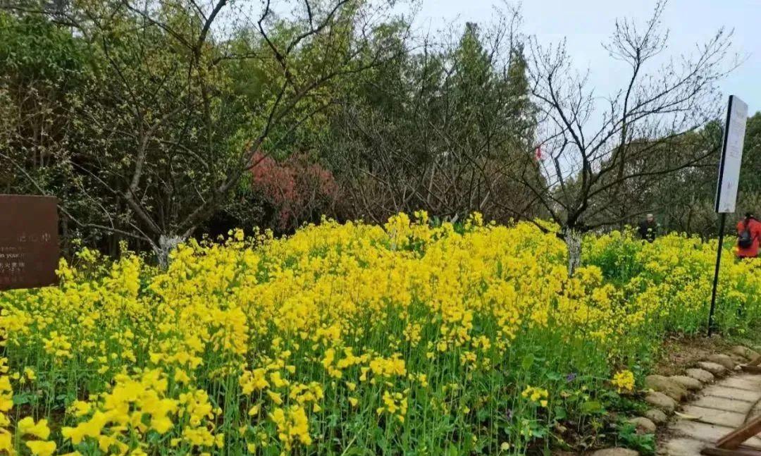 南昌自駕游俱樂部_南昌駕車一日游_南昌自駕群