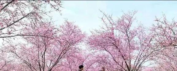 南昌駕車一日游_南昌自駕游俱樂部_南昌自駕群