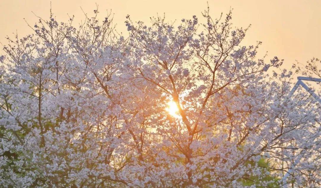 南昌自駕游俱樂部_南昌駕車一日游_南昌自駕群