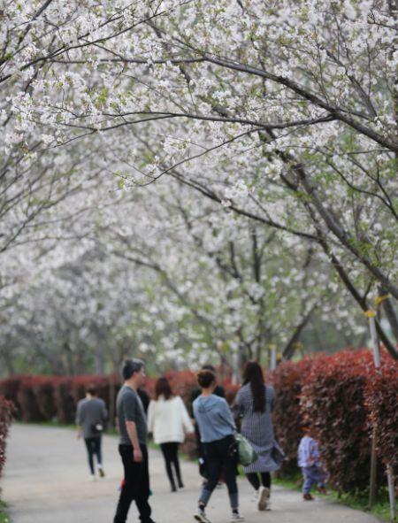 南昌駕車一日游_南昌自駕游俱樂部_南昌自駕群
