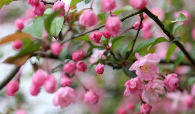 南昌自駕群_南昌駕車一日游_南昌自駕游俱樂部