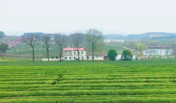 南昌自駕游俱樂部_南昌駕車一日游_南昌自駕群