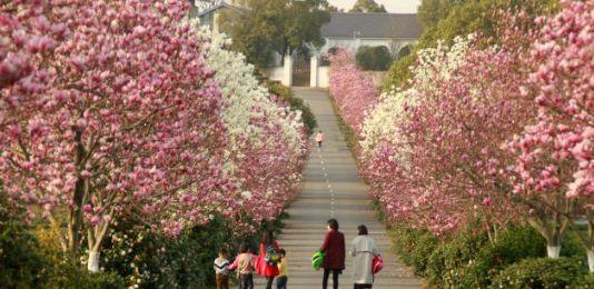 南昌自駕群_南昌自駕游俱樂部_南昌駕車一日游