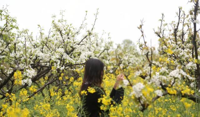 南昌自駕群_南昌駕車一日游_南昌自駕游俱樂部