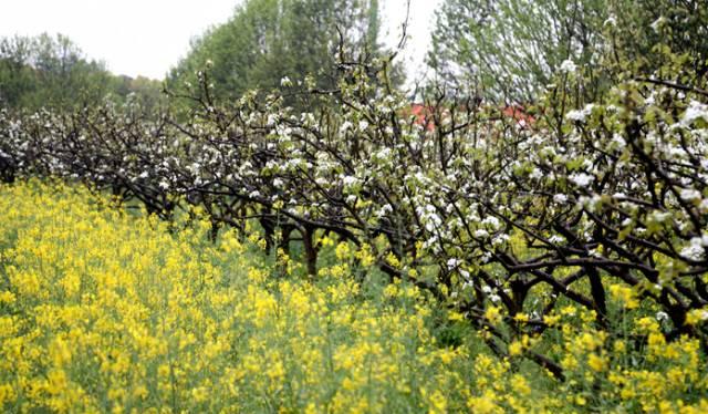 南昌自駕游俱樂部_南昌駕車一日游_南昌自駕群