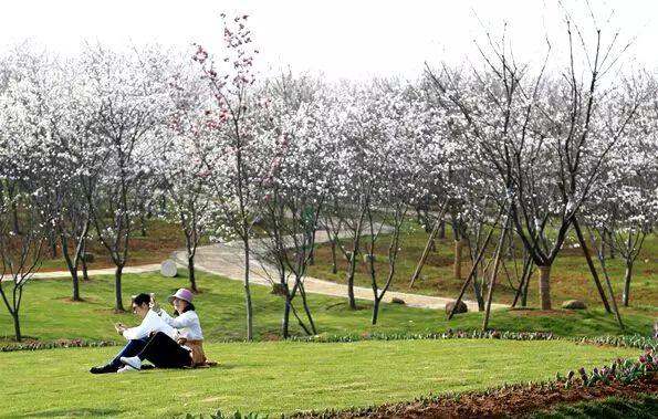 南昌自駕游俱樂部_南昌駕車一日游_南昌自駕群