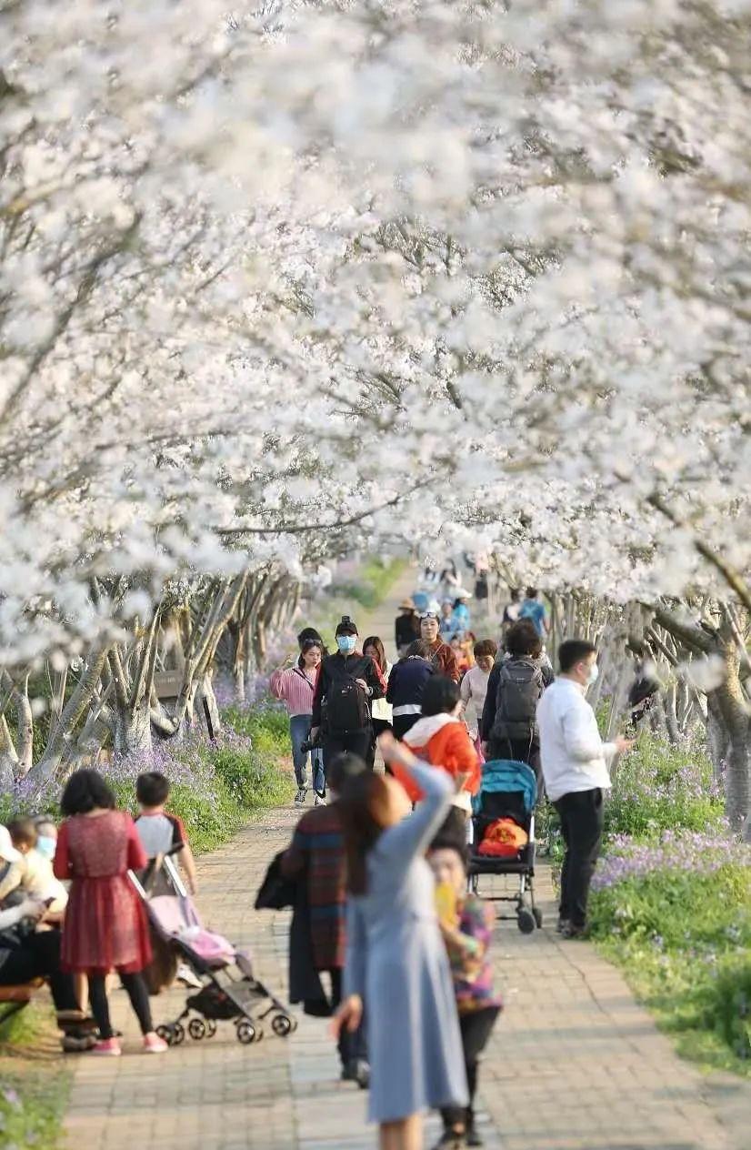 南昌駕車一日游_南昌自駕群_南昌自駕游俱樂部