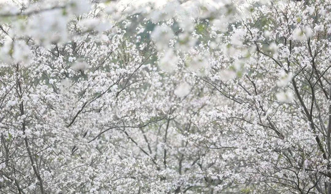 南昌駕車一日游_南昌自駕游俱樂部_南昌自駕群