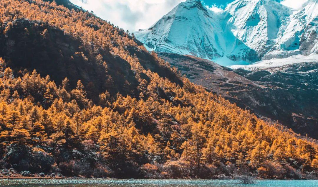 沿海城市自駕游_自駕沿海游玩_沿海城市自駕游最佳路線