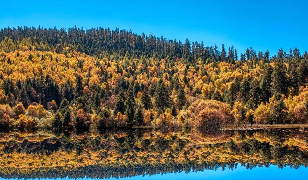 沿海城市自駕游最佳路線_自駕沿海游玩_沿海城市自駕游
