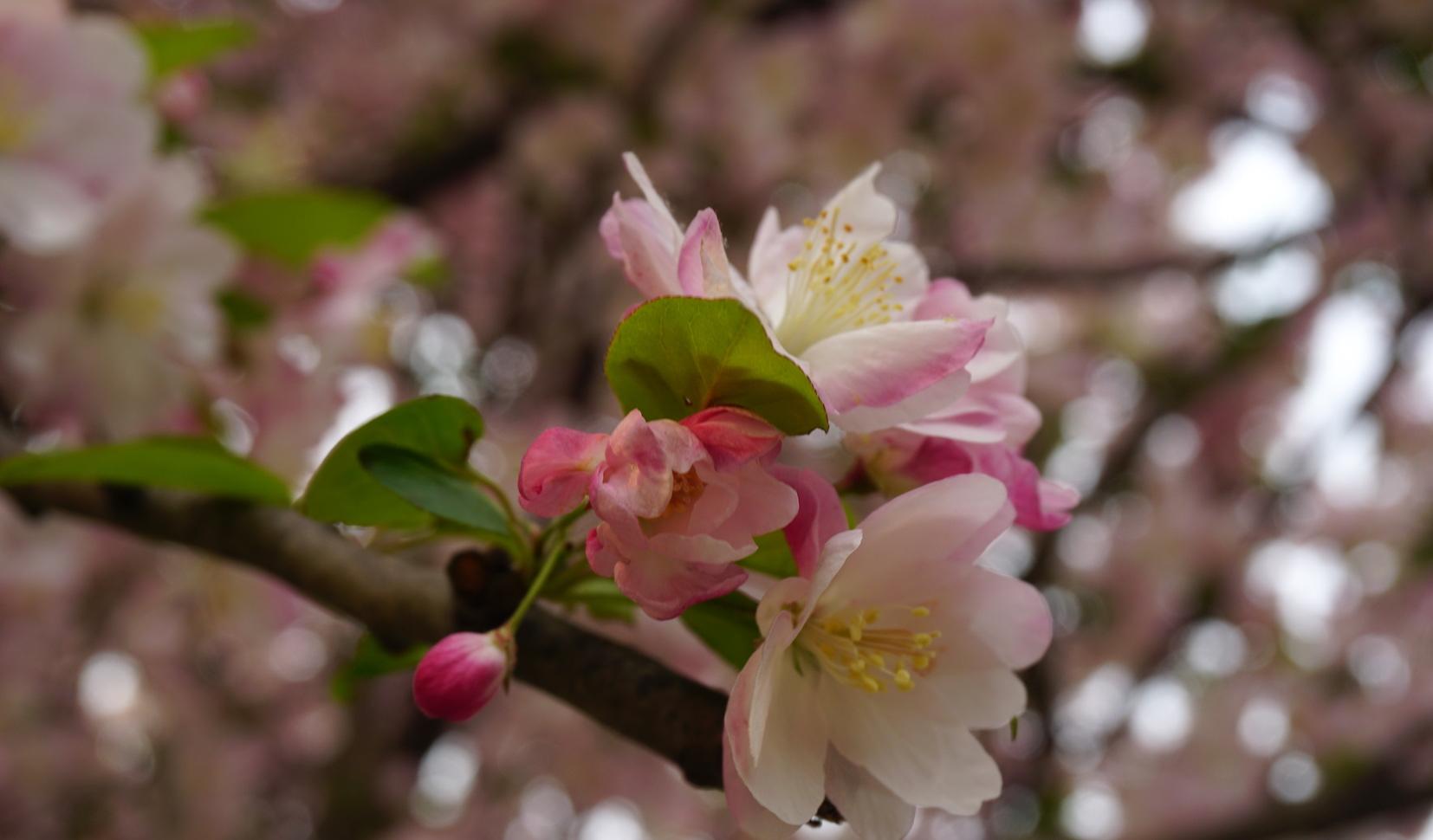 自駕游提議_自駕游經驗談_自駕游建議