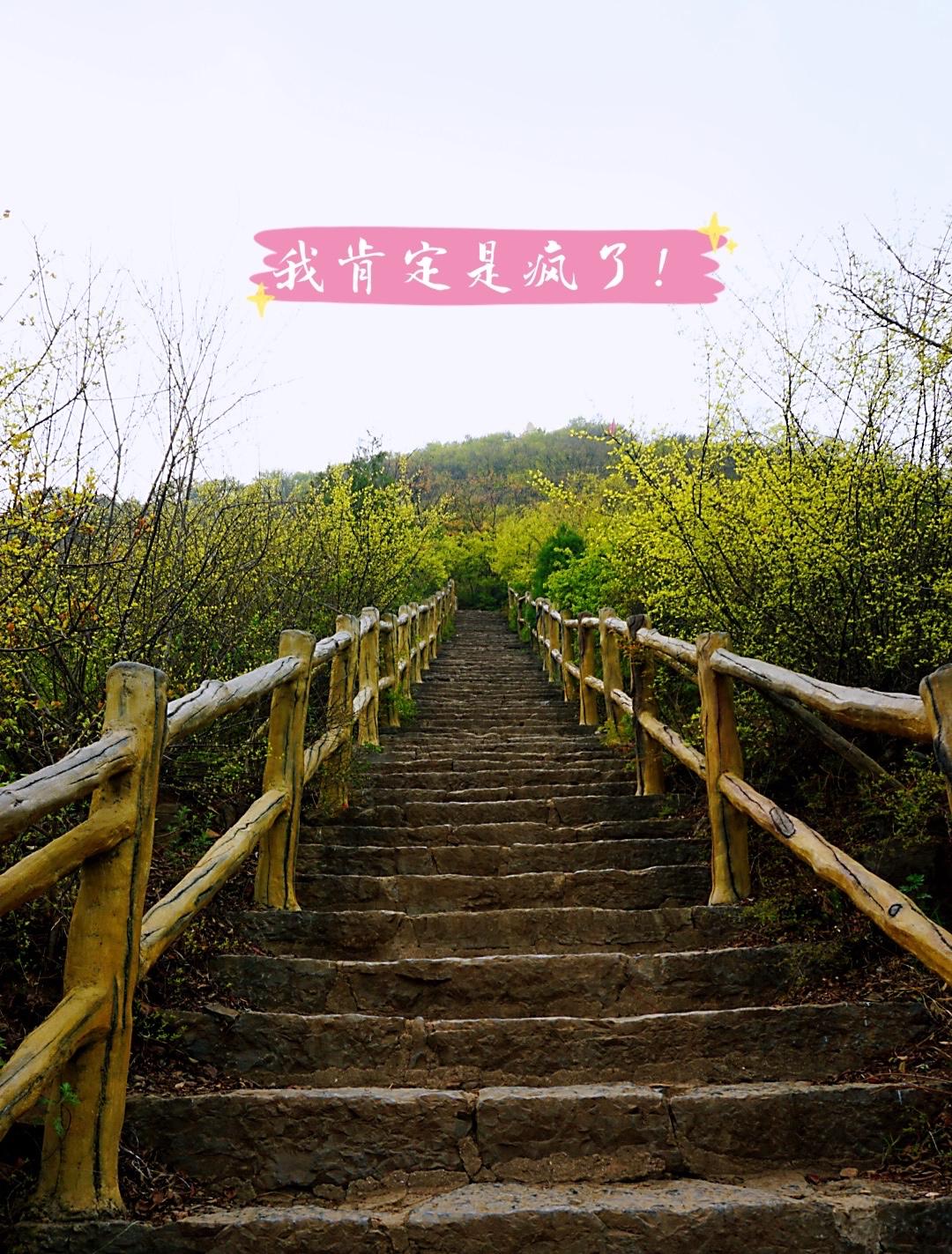 自駕游經驗談_自駕游提議_自駕游建議