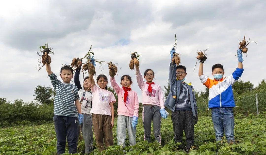 張家港周邊游自駕游_張家港自駕游哪里好玩_張家港自駕游4月