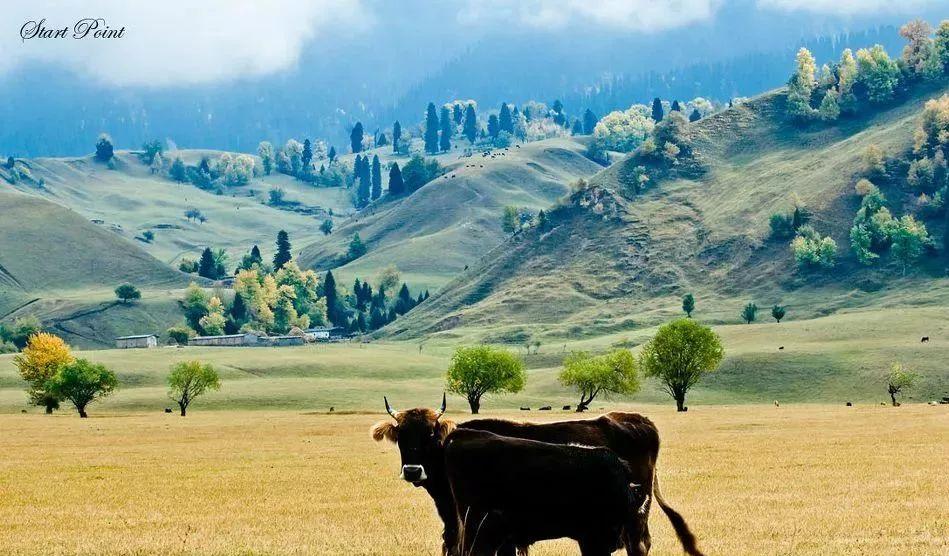 甘肅周邊旅游景點_甘肅周邊旅游推薦_甘肅周邊旅游