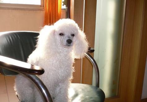 買火車票沒身份證能買嗎_沒有身份證怎么買火車票_買火車票沒身份證咋辦