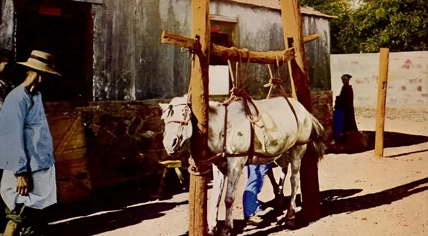 火車遼陽站圖片_遼陽火車站_遼陽站火車站